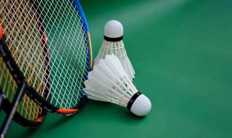 Toàn Tập Cách Chơi Cá Cược Cầu Lông Tại S666 Cho Người Mới 1 Cầu Lông tại S666