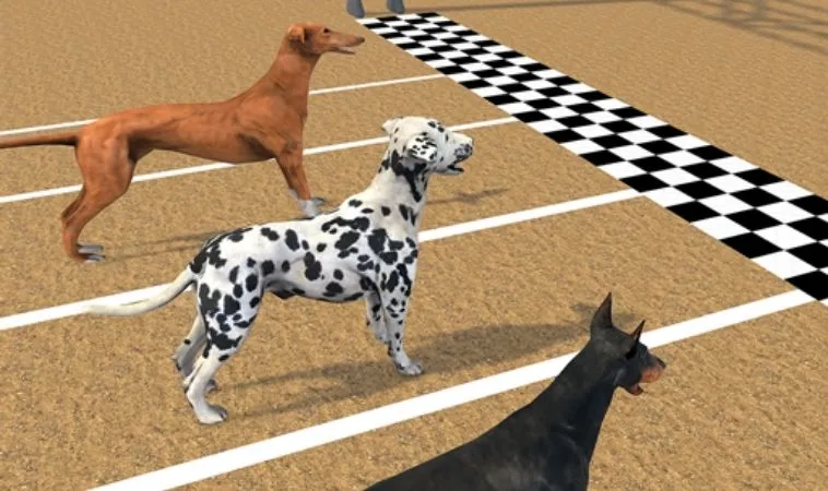 Toàn Tập Cách Chơi Game Nhanh Đua Chó Tại S666 Dễ Hiểu Nhất 2 Cách chơi game nhanh Đua Chó Tại S666