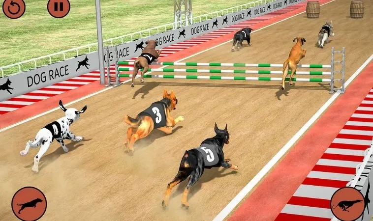 Toàn Tập Cách Chơi Game Nhanh Đua Chó Tại S666 Dễ Hiểu Nhất 1 Đua Chó Tại S666