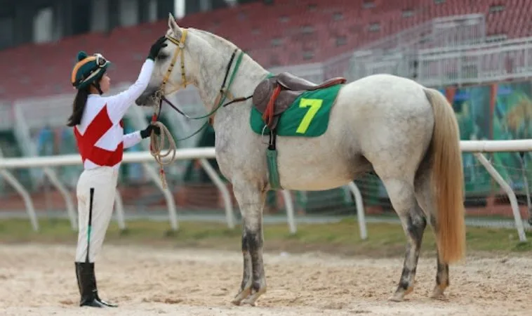 Khám Phá Thế Giới Cá Cược Đua Ngựa S666 Đầy Hấp Dẫn 2 Cần tìm hiểu kỹ về bộ môn Đua Ngựa S666 trước khi cá cược